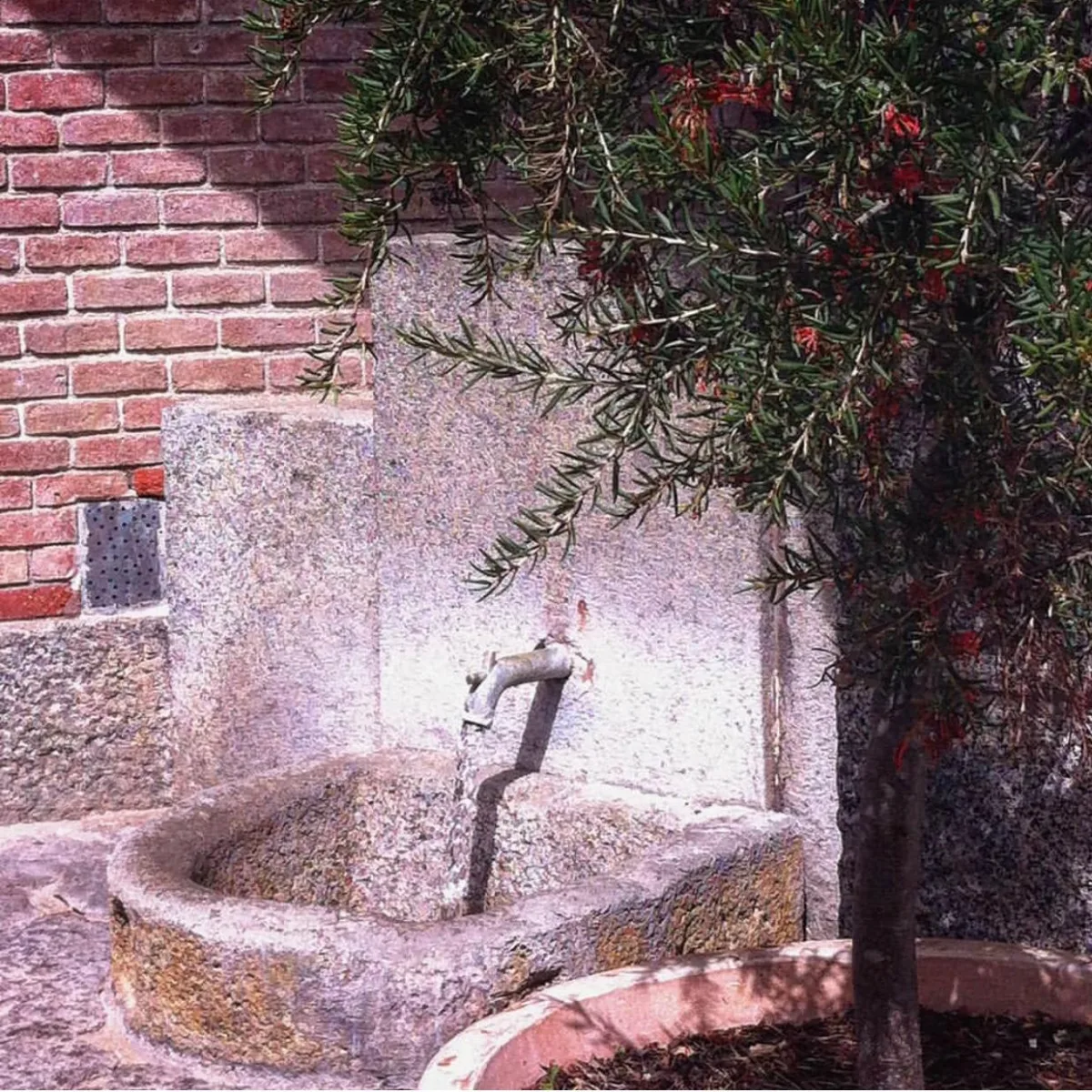 La font renovada del manantial, d'on emergeix l'aigua a 38,8 graus